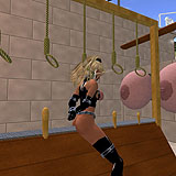 suz1_111